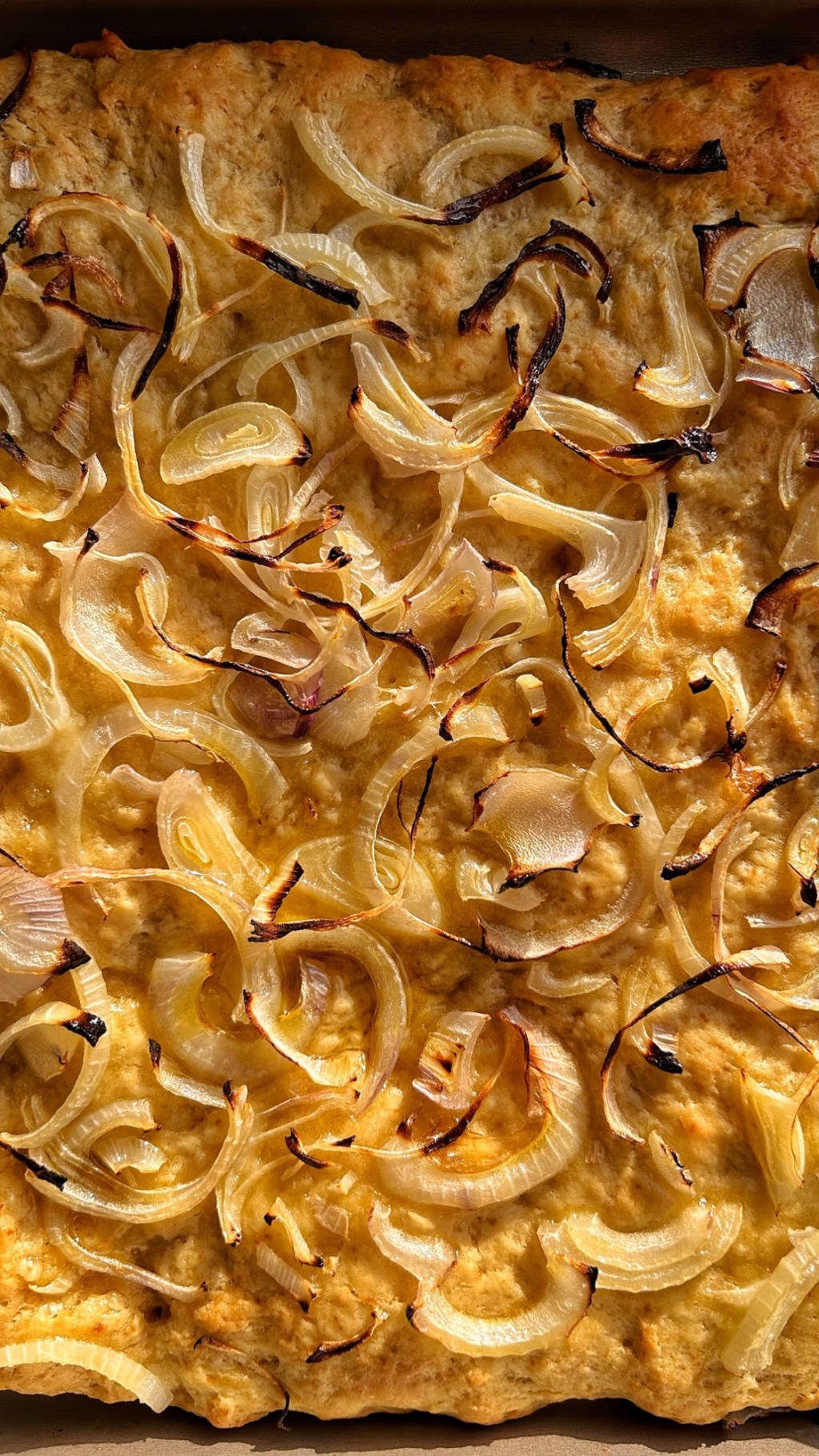 FOCACCIA CON LA&nbsp;CIPOLLA